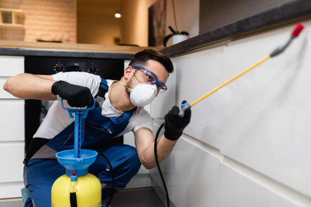 Best Best Pest Control Companies  in Roxboro, NC