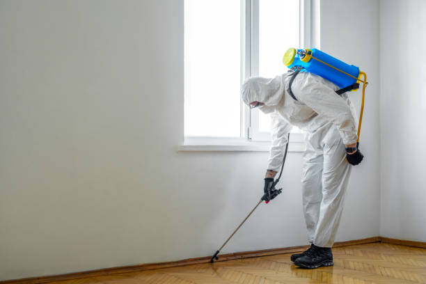 Best Ant Control Services  in Roxboro, NC