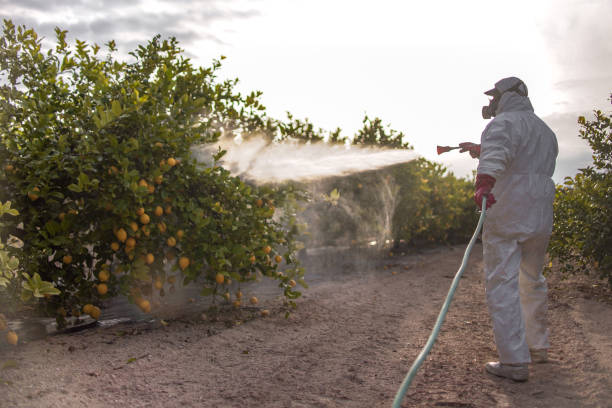 Best Mosquito Control Services  in Roxboro, NC