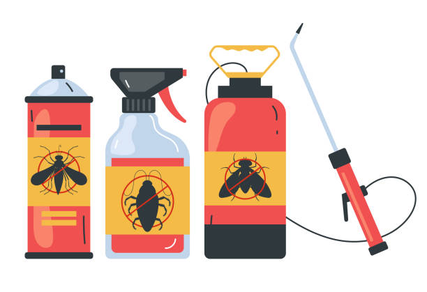 Trusted Roxboro, NC Pest Control Experts